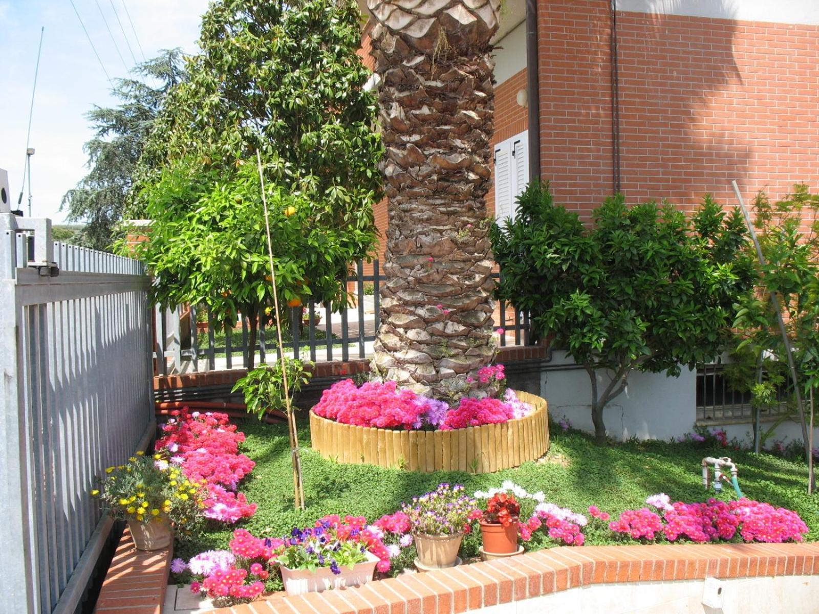 Bed & Breakfast Bompadre ชิวิตาโนวา มาร์เค ภายนอก รูปภาพ